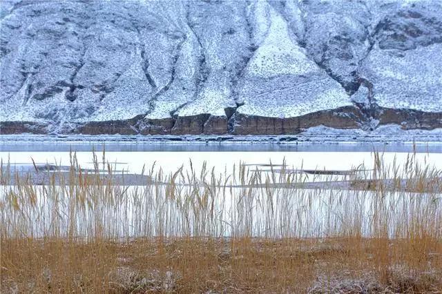 机票490飞往黄河过大年，主人请吃年夜饭，9项新年活动免费送