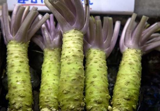 芥末的原料是芥菜吗,芥末的原材料图片大全