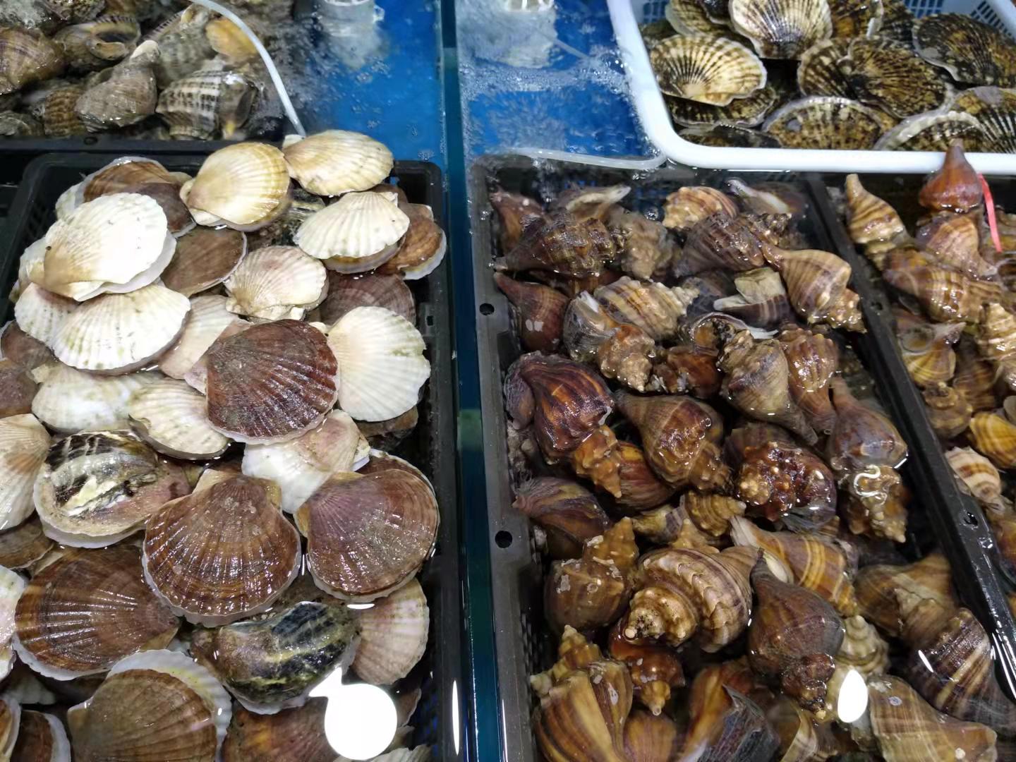 大连市开海了海鲜都到哪去了,大连开海哪个地方买海鲜便宜