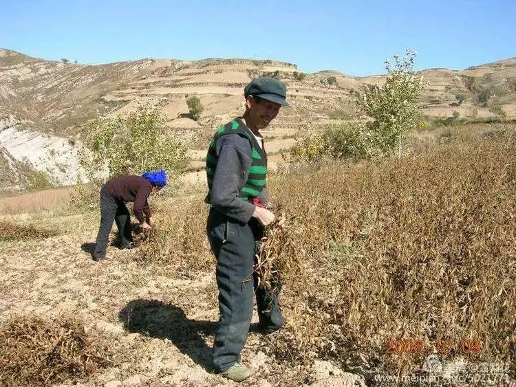 静乐县刁儿沟村,静乐县刁儿沟小学
