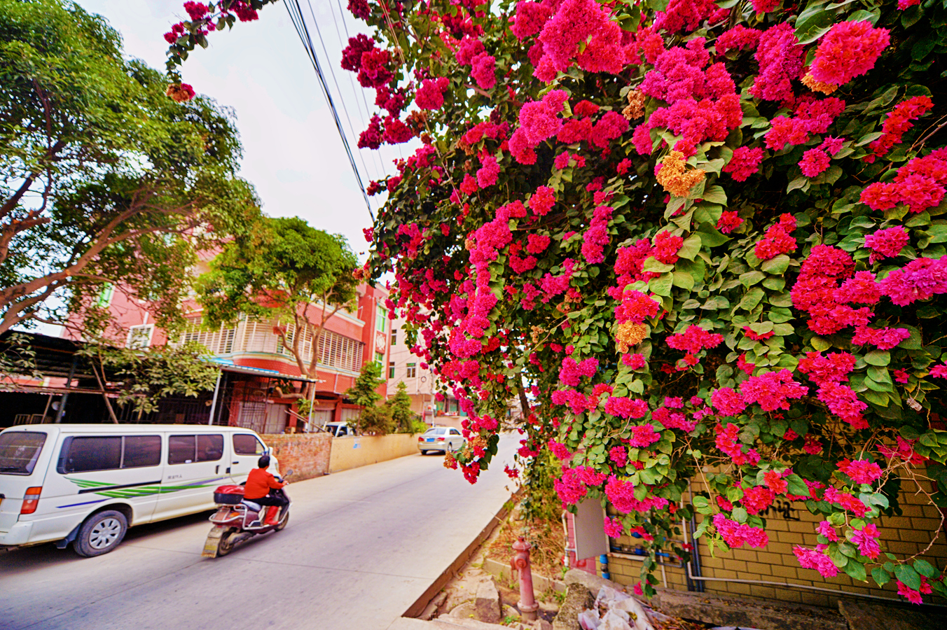 南安柳城露江村,贫困户在家就业养家