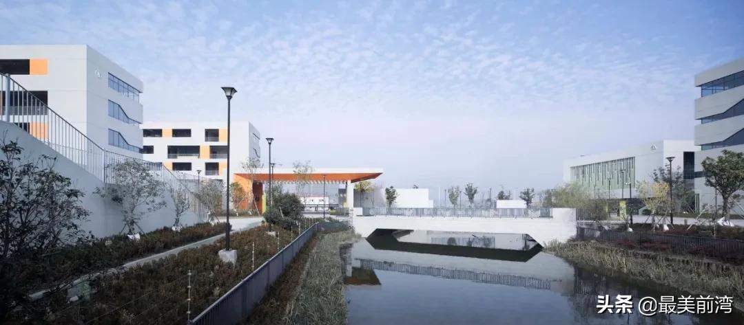 杭州湾滨海小学,杭州湾滨海小学简介