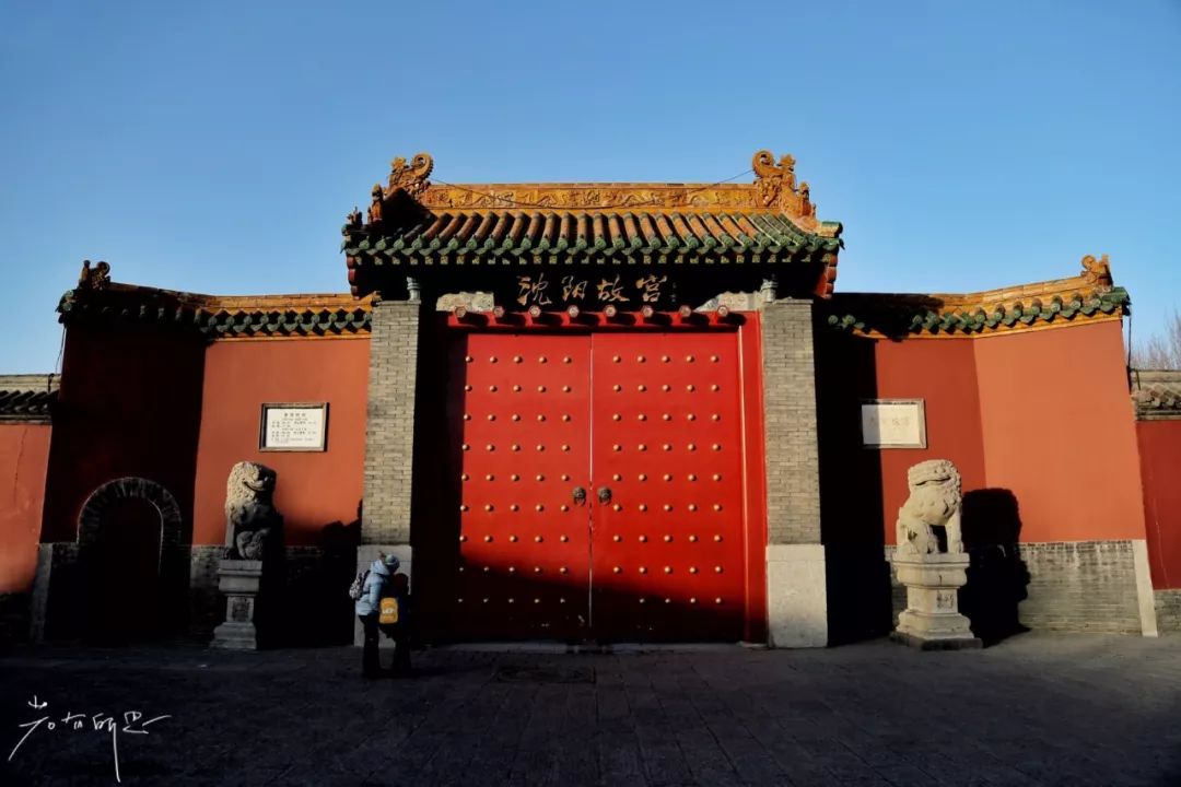 机票不到800元，第2次东北沈阳之旅，1个鸡架配老雪！