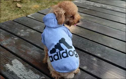 adidas灏忕嫍绯诲垪,闃胯开杈炬柉灏忕嫍绯诲垪