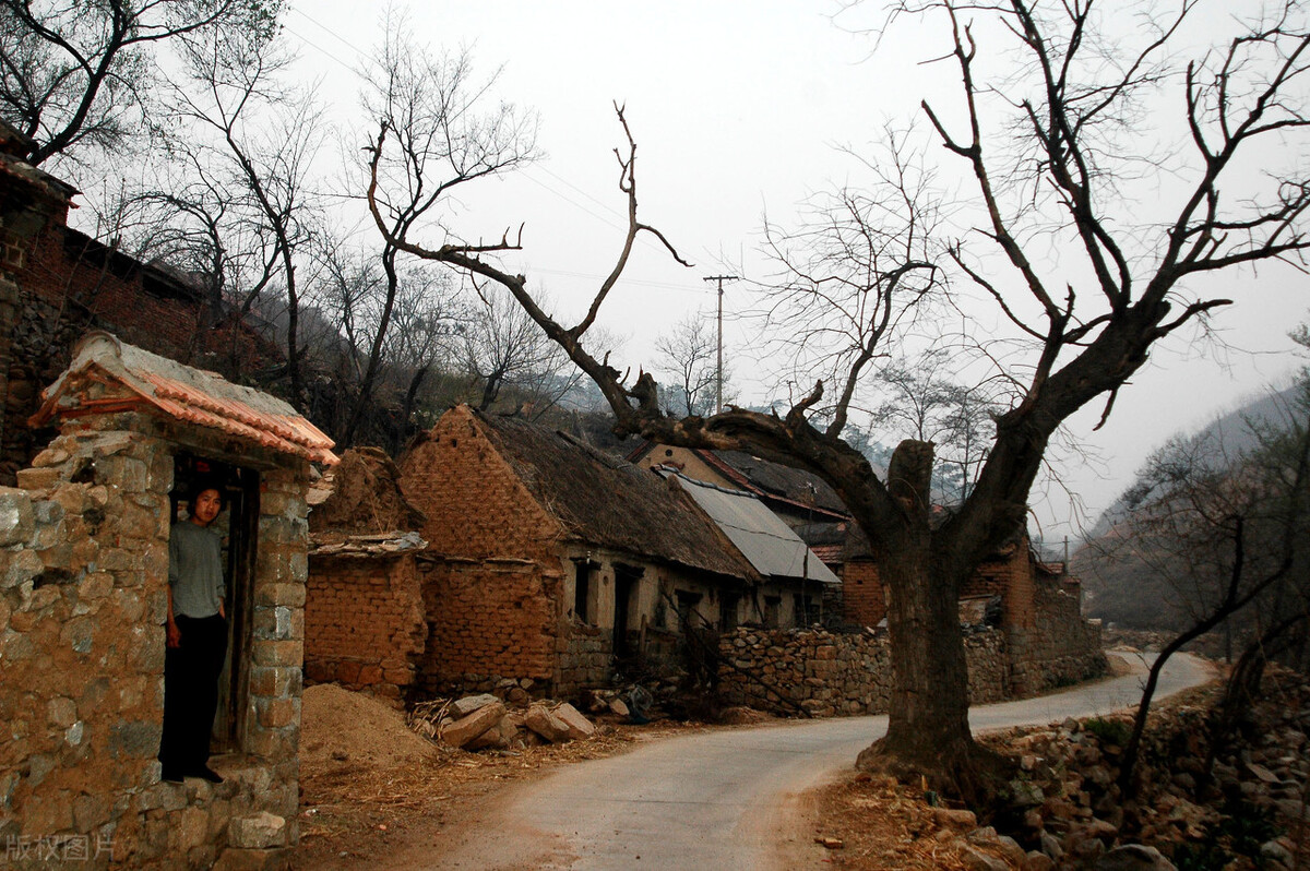 老虎不发威别当我是病猫读春秋（三十九）