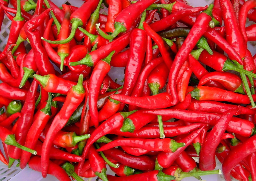 制作美味豆瓣酱的简单步骤与技巧,做豆瓣酱的详细教程