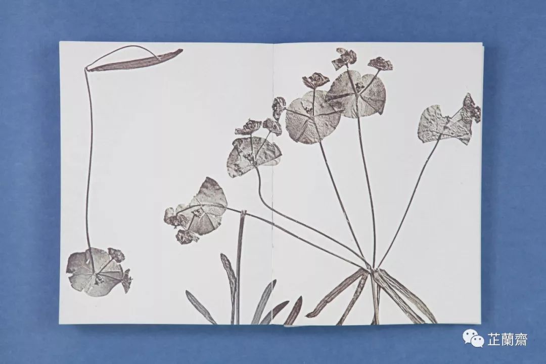 2019年12月师友赠书录（中）韦力撰