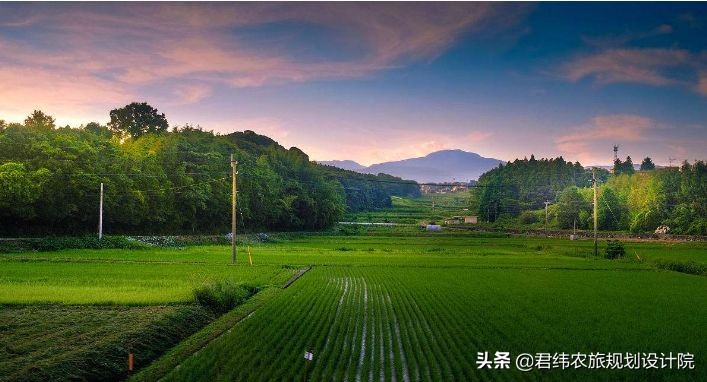 中国和日本农业到底有什么样的差距，不得不承认！