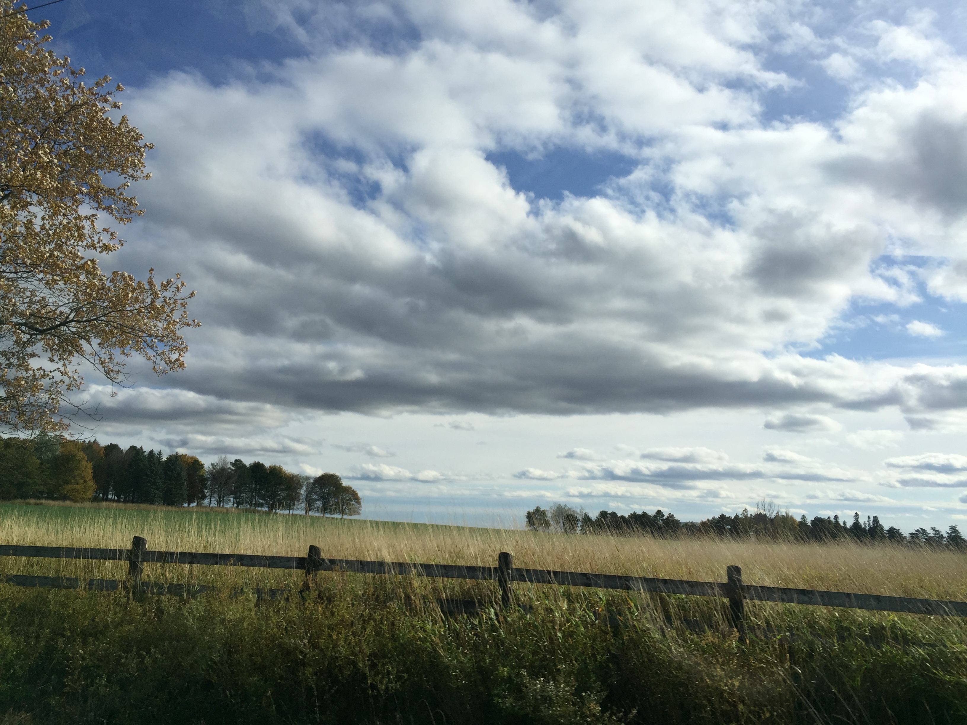 深秋加拿大摄影,深秋的天空特别美