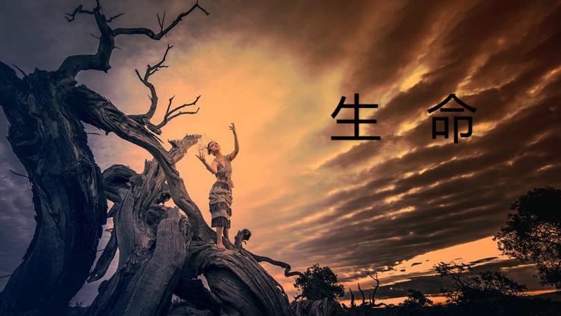 科学家预测人类消亡时间,年轻人离世的因果