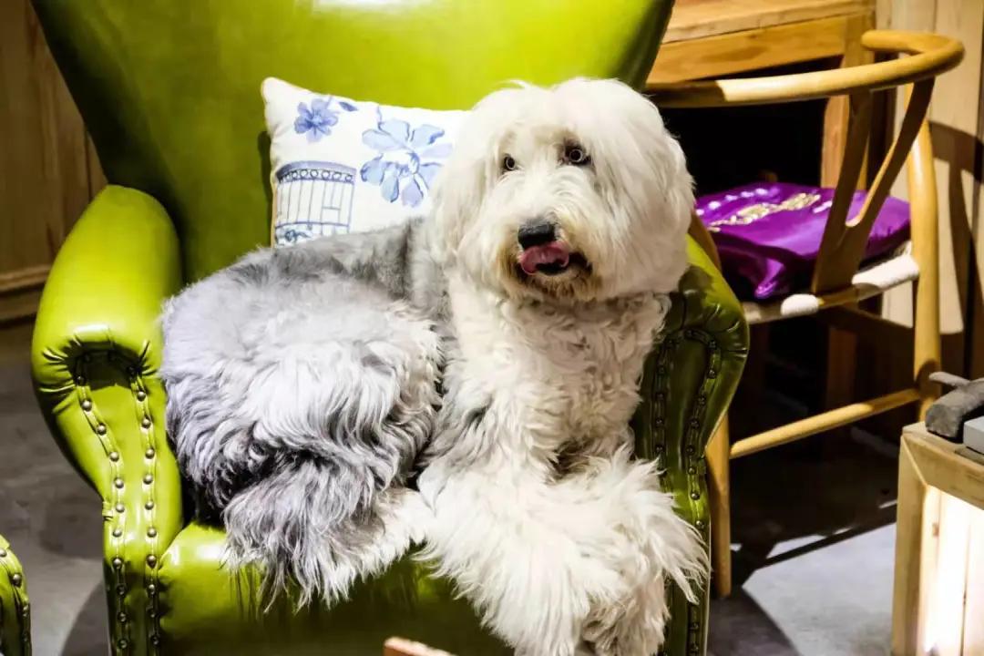 在大理生活的外省人,生活在别处的人