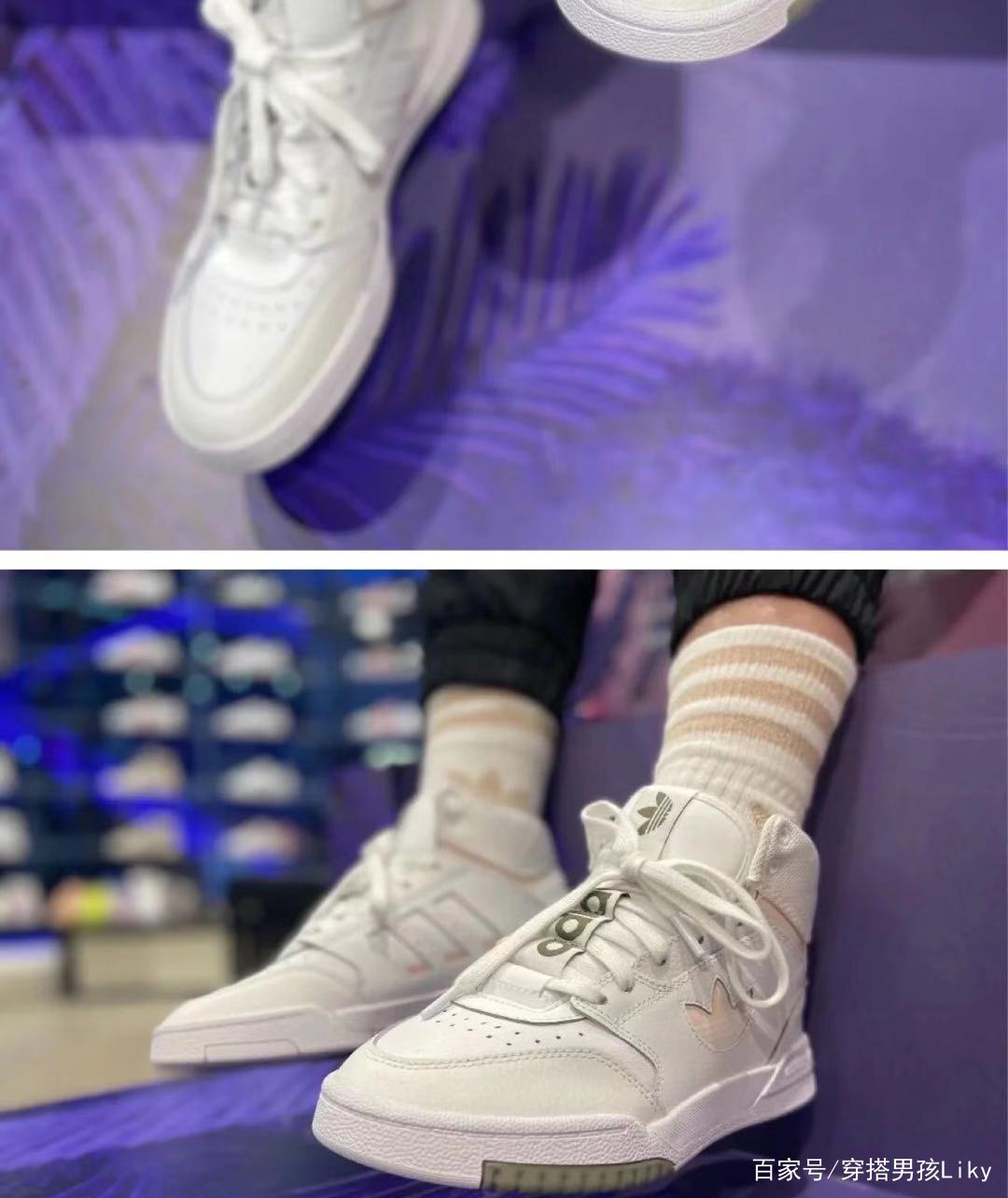 阿迪达斯三叶草贝壳头,阿迪达斯三叶草壁纸