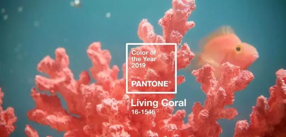 粉色珊瑚珠宝,珊瑚彩色珠宝