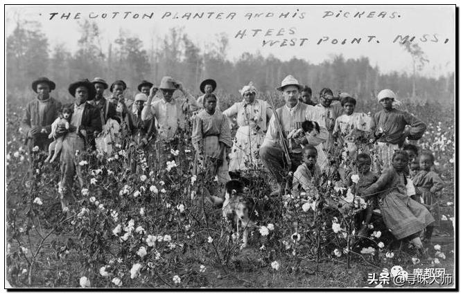 *辱侮**中国！HM、优衣库、ZARA、耐克、阿迪达斯等引公愤