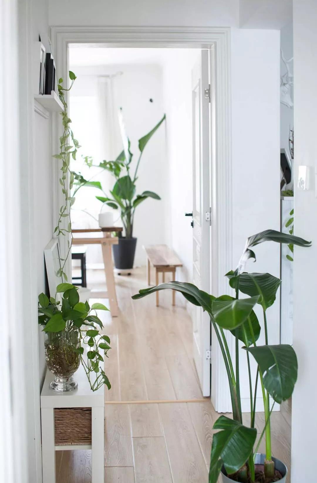 小夫妻98㎡家意外走红!登北京地铁广告,这个家才是都市里的奢侈