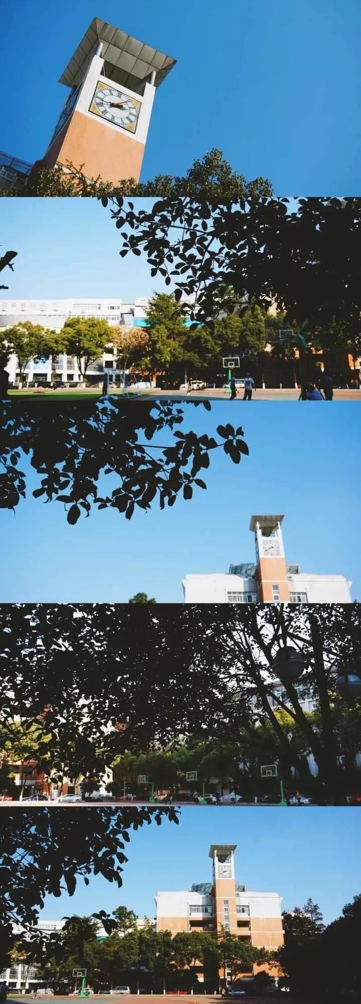 武汉市十大美丽中学,武汉十大美丽学校