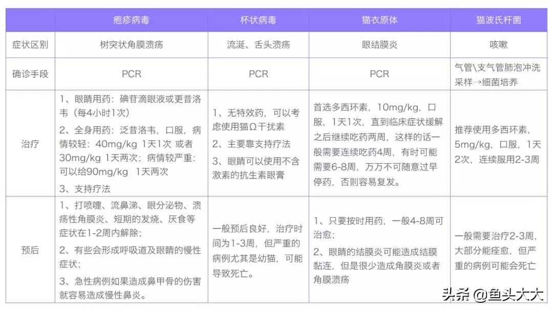 疱疹病毒杯状病毒怎么消毒,怎么分辨杯状病毒