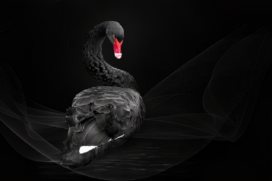 加盟奶茶陷阱视频,奶茶店加盟踩雷是真的吗