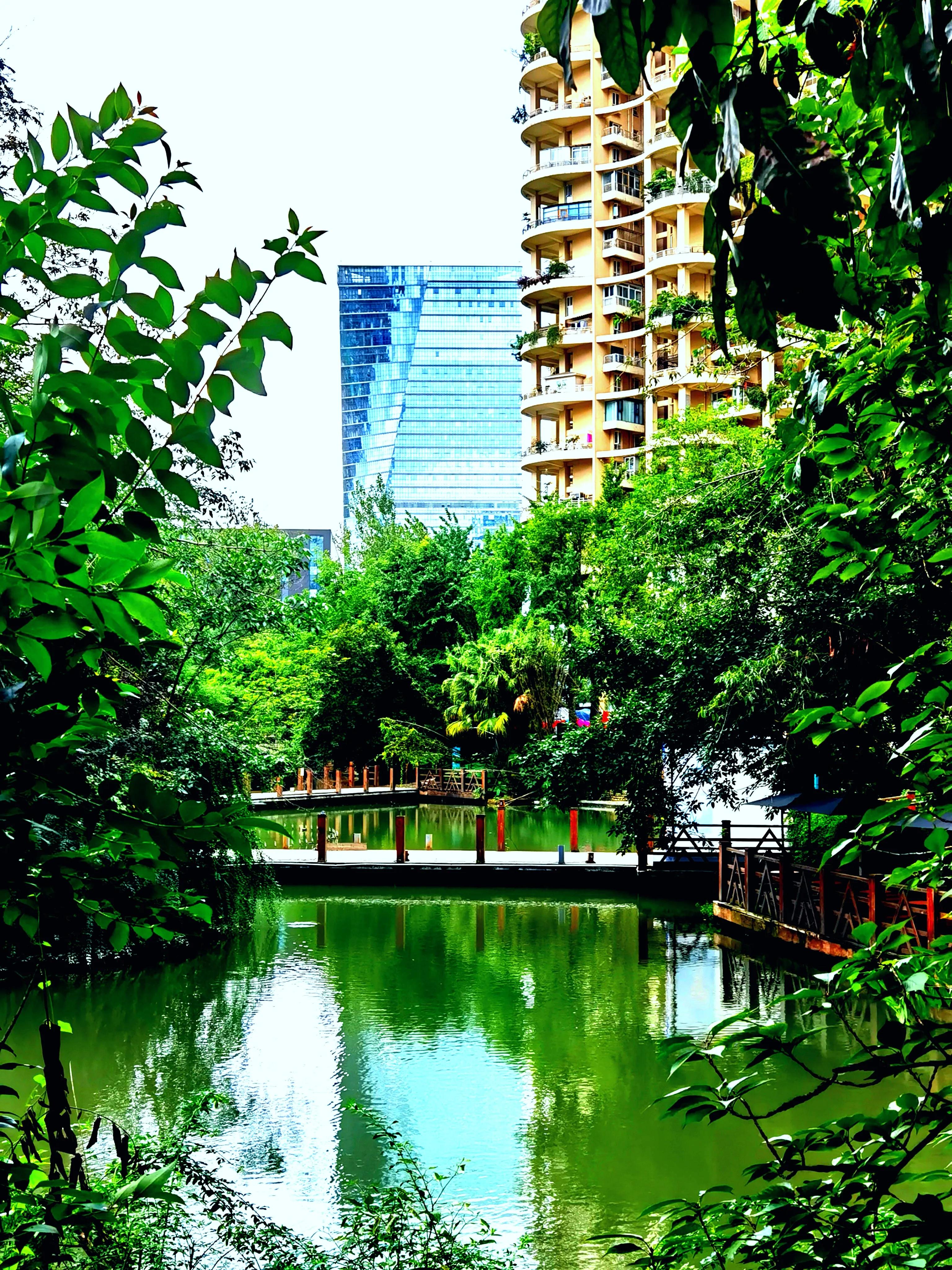 世纪城天鹅湖花园,世纪城天鹅湖别墅公寓