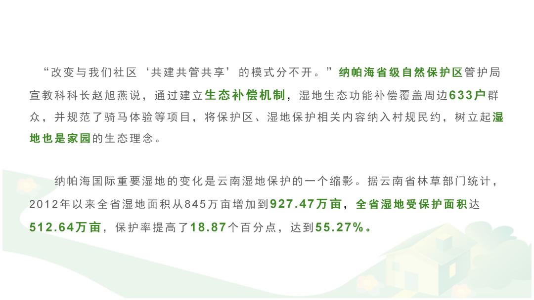 ppt文字太多怎么排版教学,ppt文字太多怎么排版