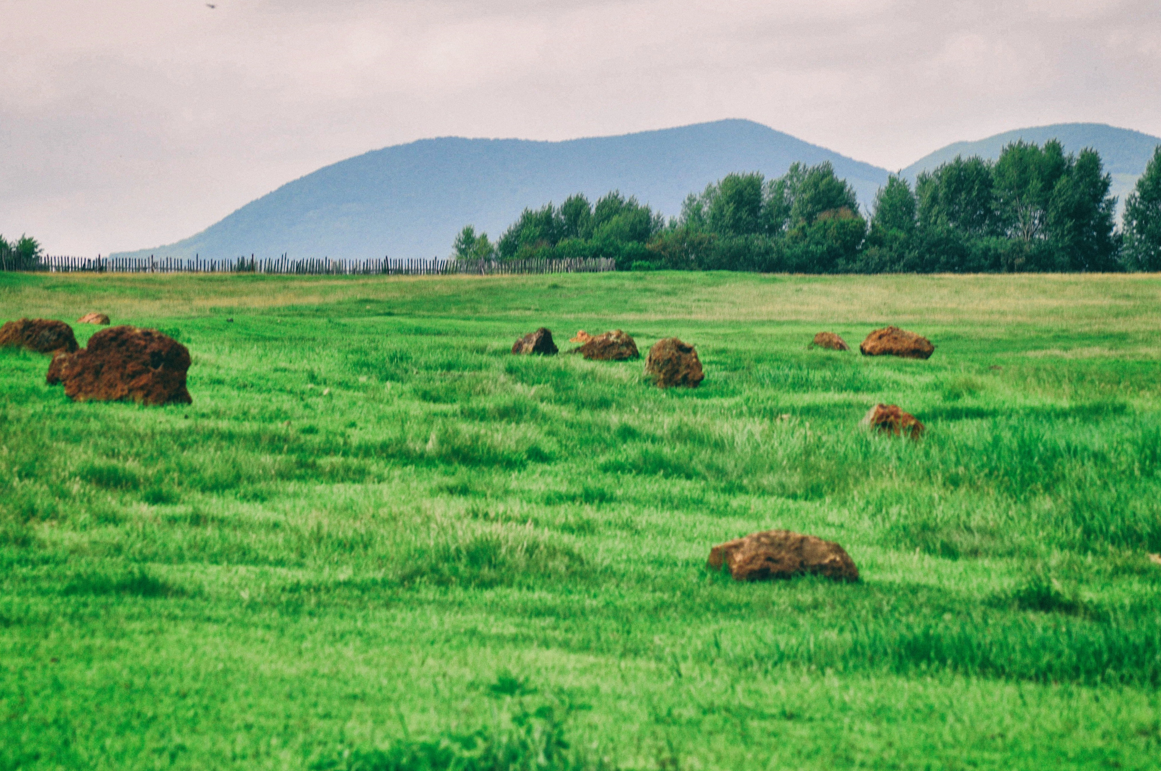 东北边疆,东北行游记2019