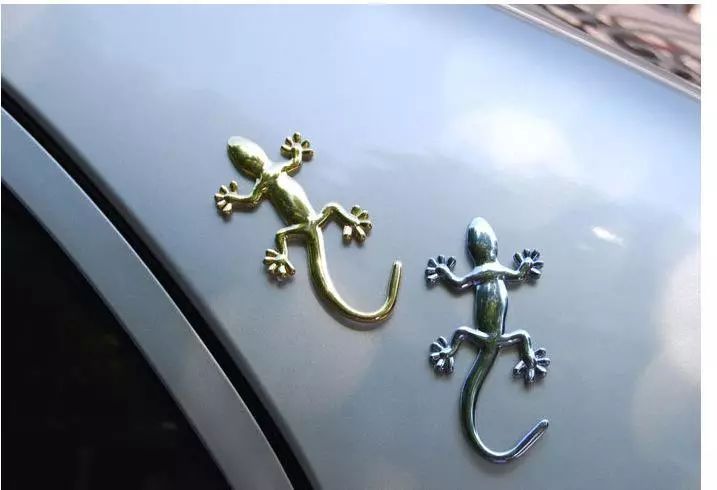 那些令你惊讶的车贴,你们还见过哪些车贴