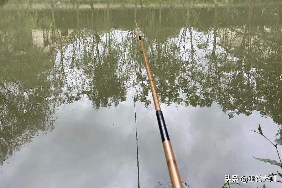 最新款性价比钓竿品牌推荐,2百元左右12米传统钓竿