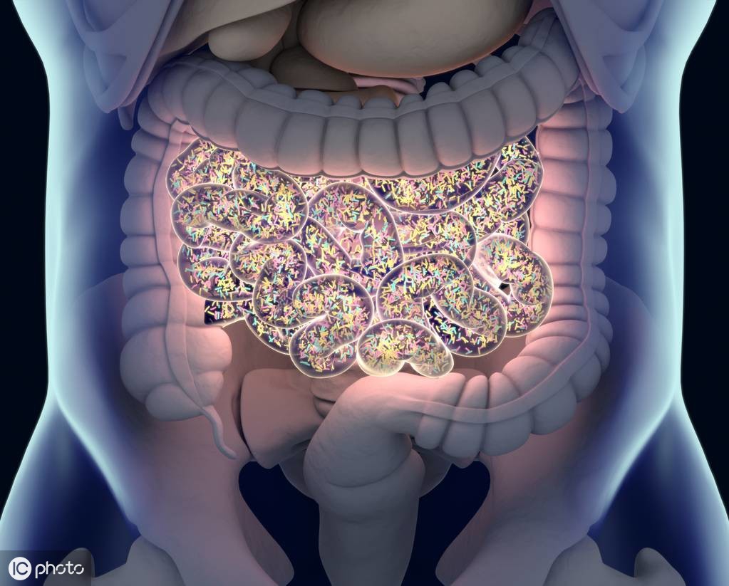 便秘最怕的食物吃一顿快速通便,经常便秘的人是不是肠道就不健康