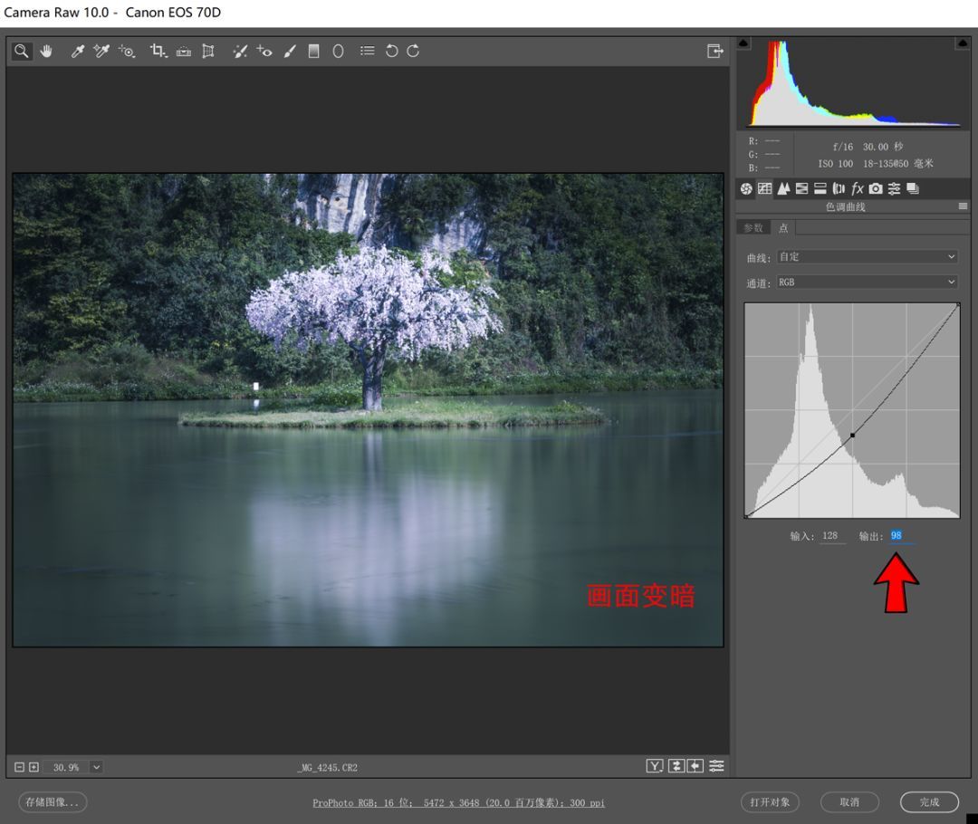 曲线要怎么记容易学得快,曲线难学吗