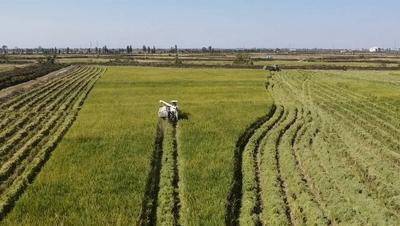 遇见美丽水乡,鄱阳鄱阳湖