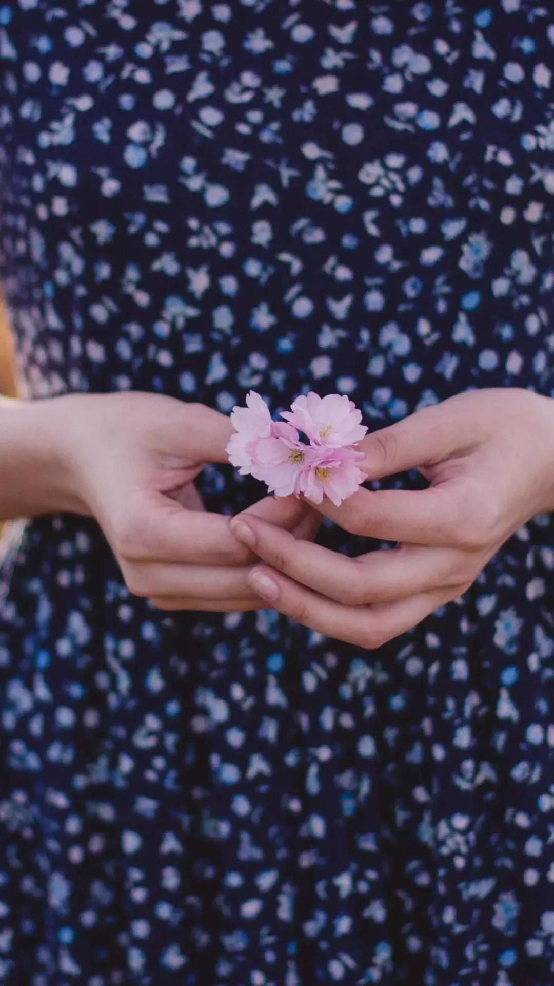 壁纸控超清壁纸,壁纸控wallpaper