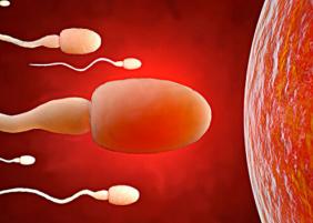 男性因素导致的不孕不育原因,子宫颈因素怎么影响不孕不育