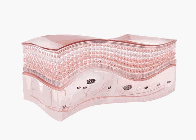 get何穗同款牛奶肌！秋冬去鸡皮，黑黄皮必入