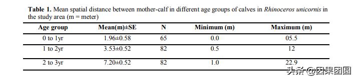 老虎杀犀牛全过程,老虎猎杀犀牛过程
