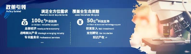 张江掀起浪潮,上海张江生机勃勃