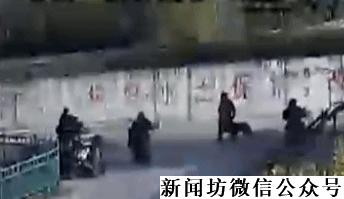 小伙一只宠物狗丢失,一男子2万元买了一只宠物犬