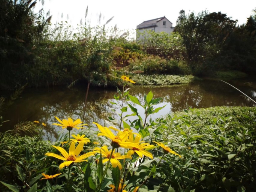 窝料说实话 (实战窝料)