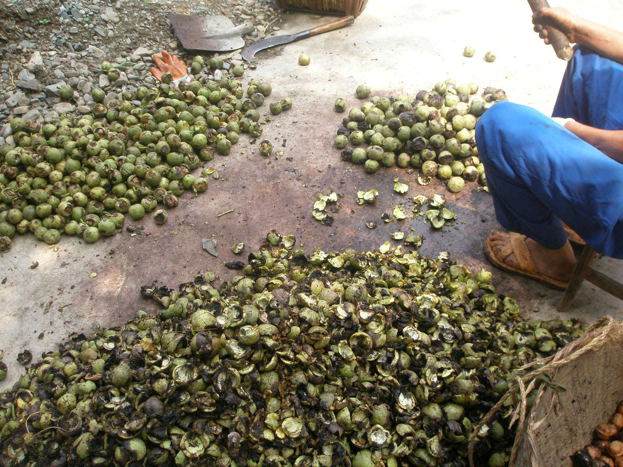 秦楚古道一日游攻略,秦楚古道自驾游攻略