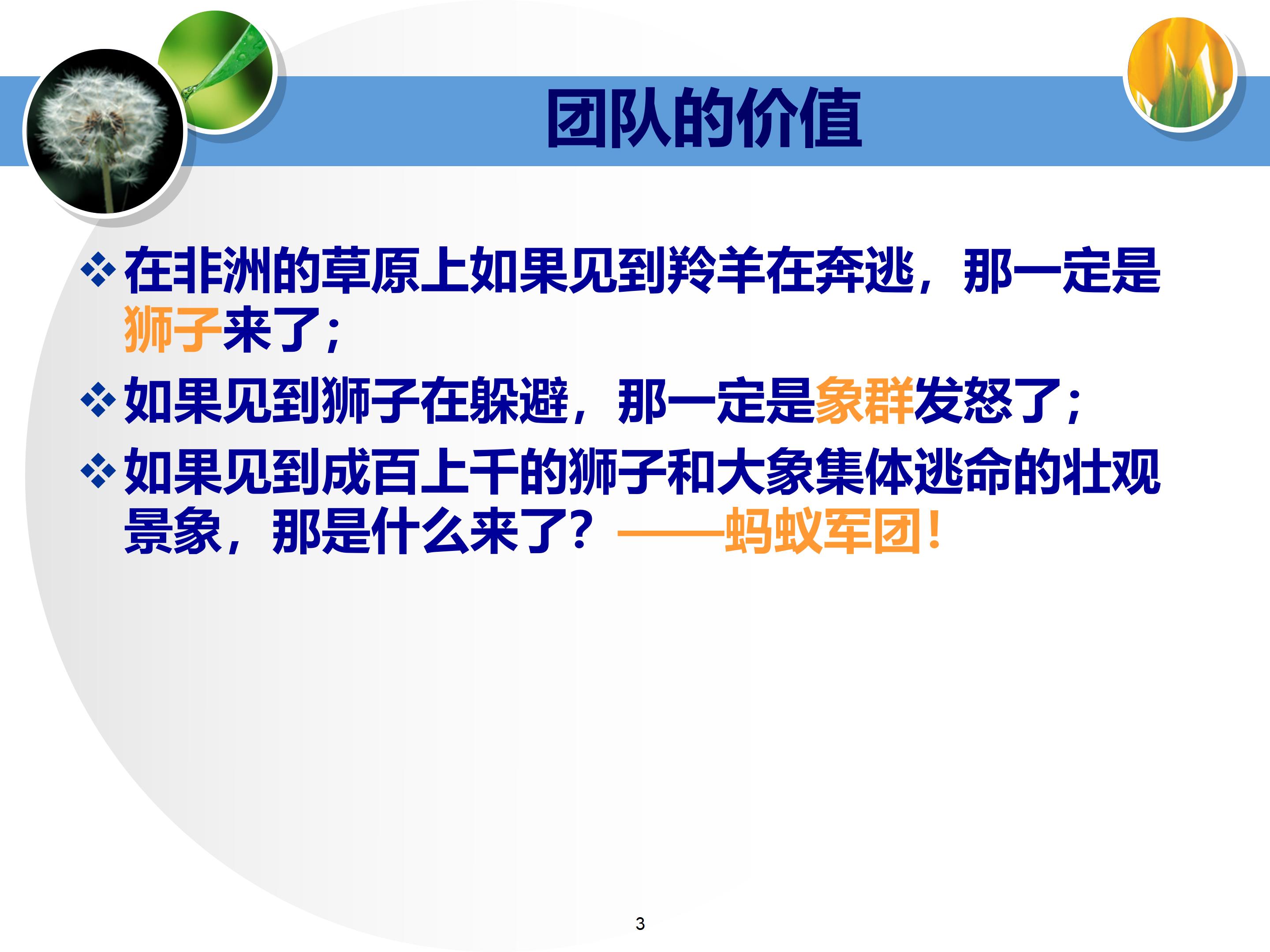 个人与团队管理打造高绩效团队,团队建设建议及个人成长