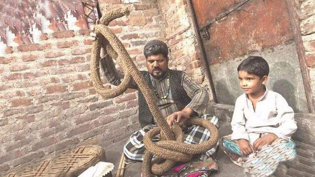 一根绳子能上天什么原理,一根绳子从高空一跃而下