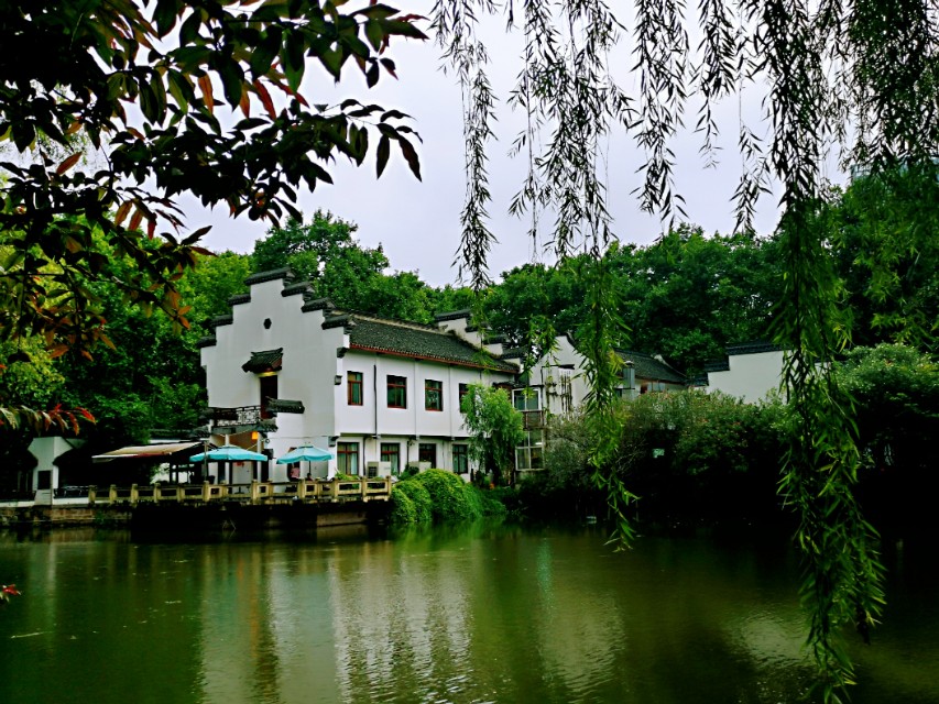 雨天的虹口公园,魔都虹口公园