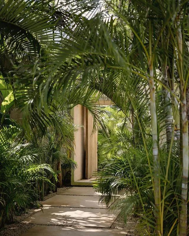 CO-LAB|自然系住宅