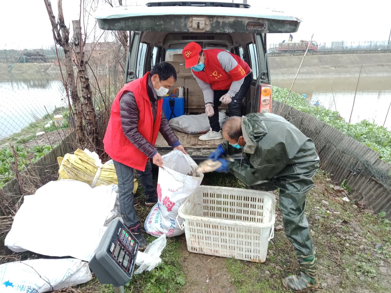 一封来自武汉前线的家书,来自武汉的特种家书