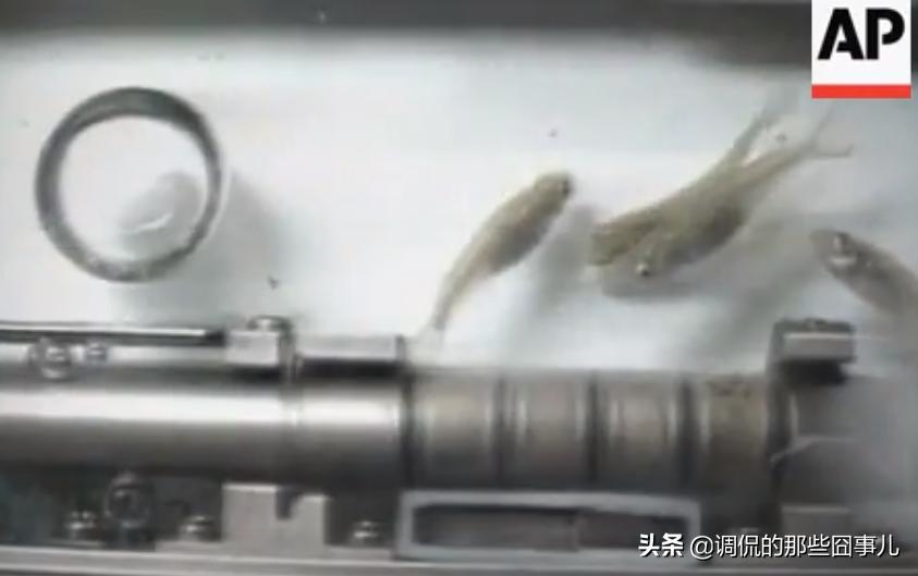 宇航员在太空遇到危险时怎么做,宇航员太空怎么解决自理问题