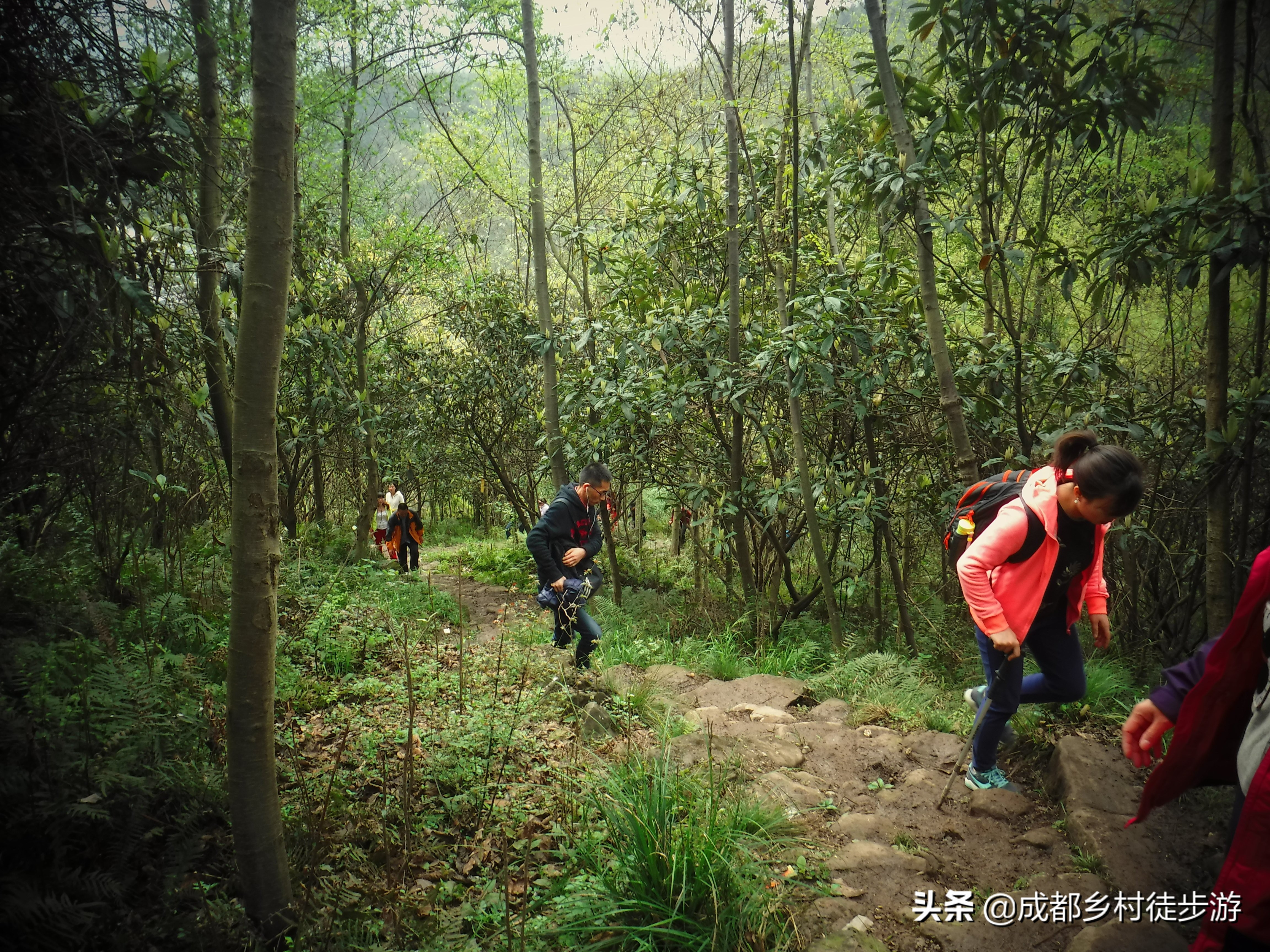 徒步回忆录视频,徒步回忆录