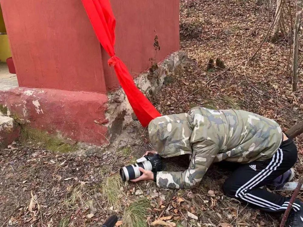 黑参与黑参脚区别,黑参与西洋参有什么区别