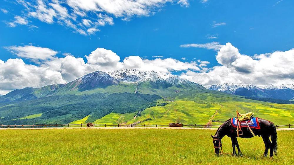 华夏山脉,华夏四大山脉