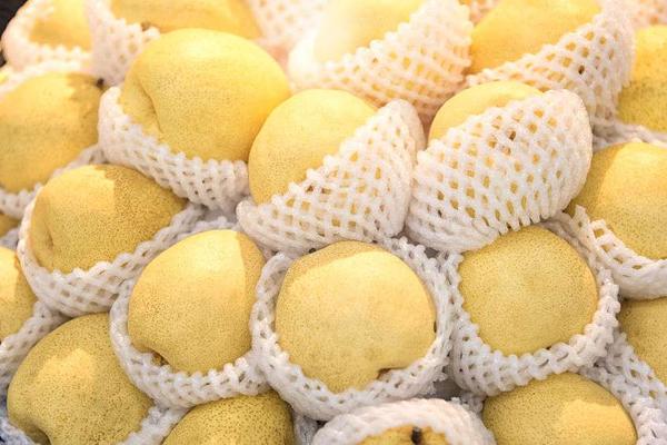 天气干燥什么茶去火快一点,冬季干燥上火喝什么茶最好