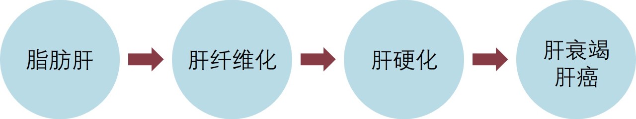 胆汁酸代谢障碍发生机制,胆汁酸代谢和脂质代谢
