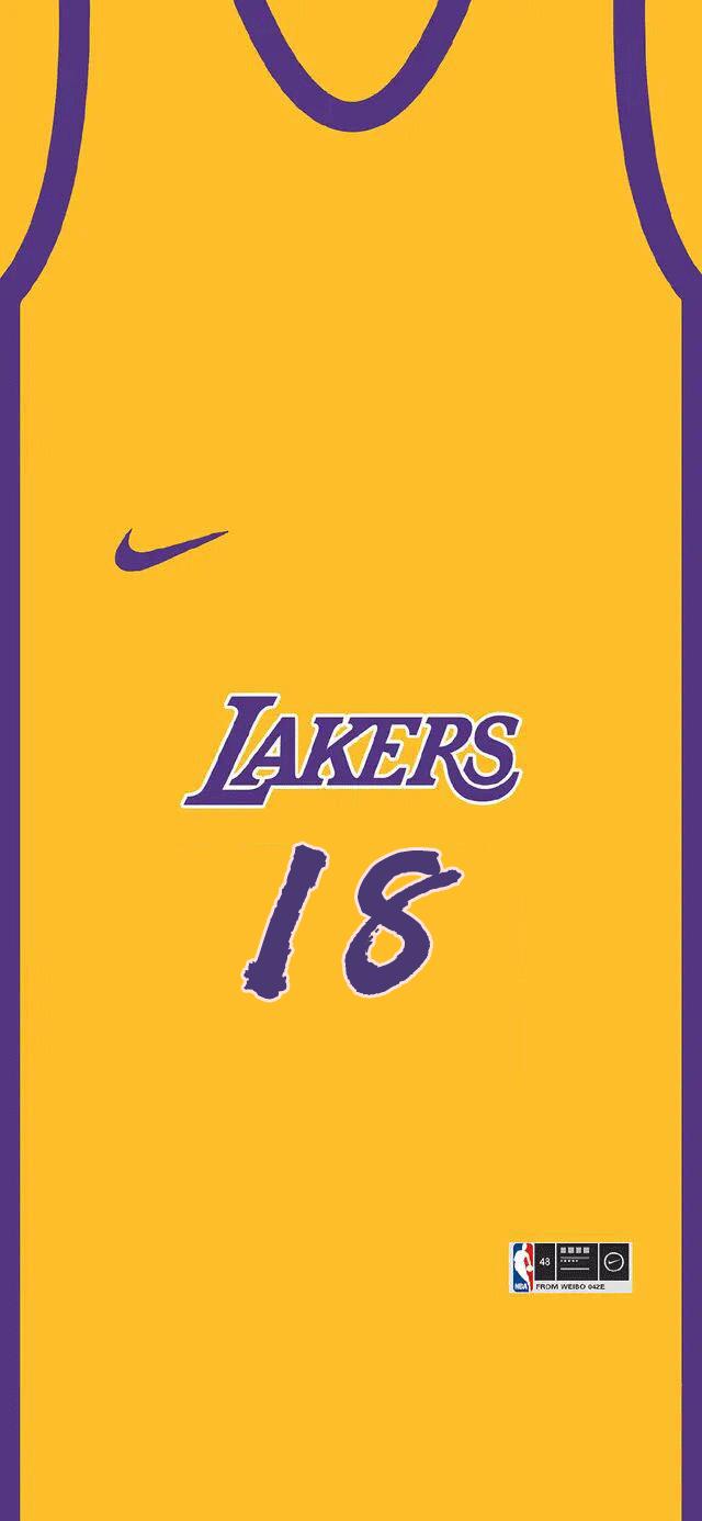 球衣壁纸,欧文篮网球衣壁纸